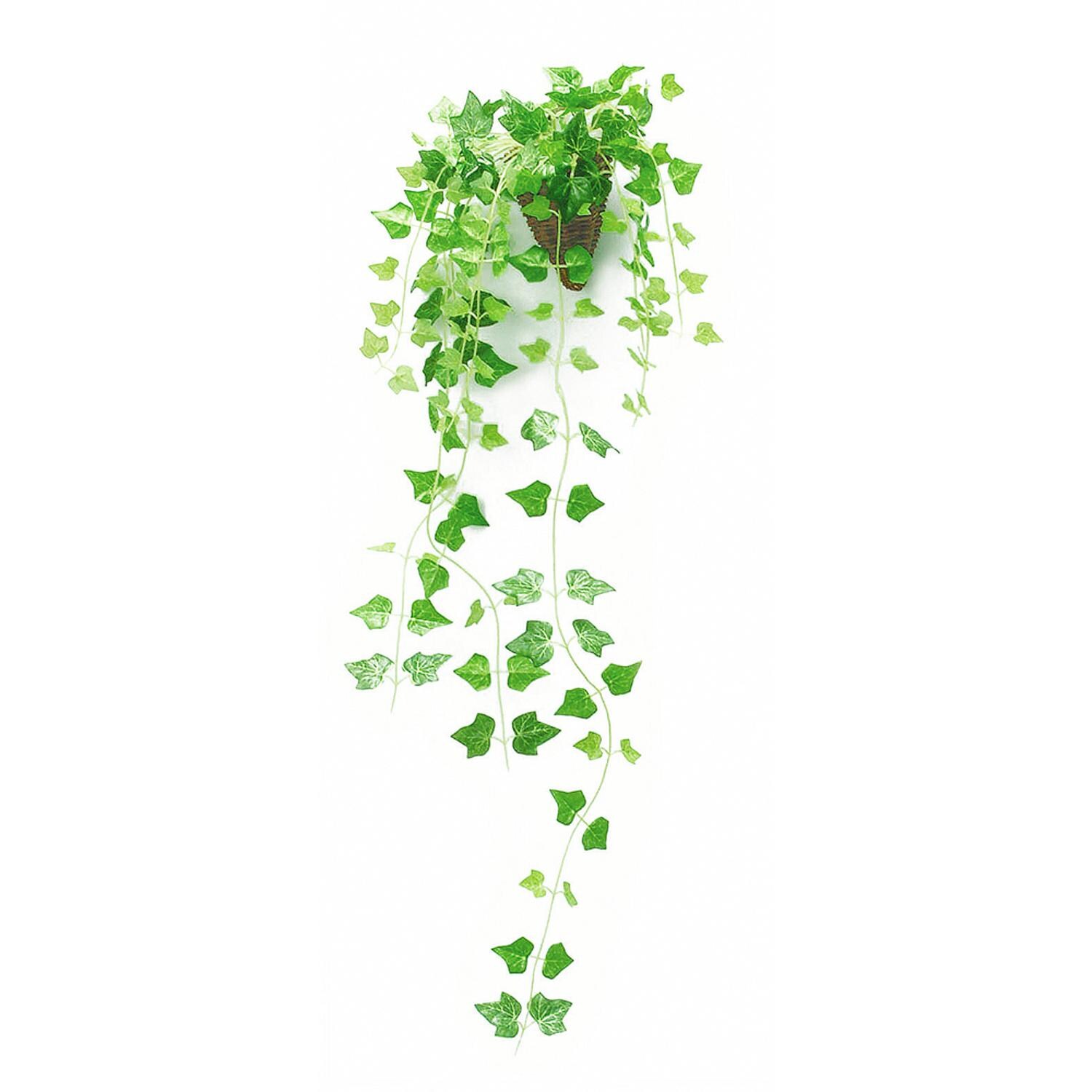 [}C]G} ϗtA ʔ tFCNO[  Ǌ| tFCN  ݂艺 nMO t/obN[ht@~[iBACKYARD FAMILYj 163695.ACr[