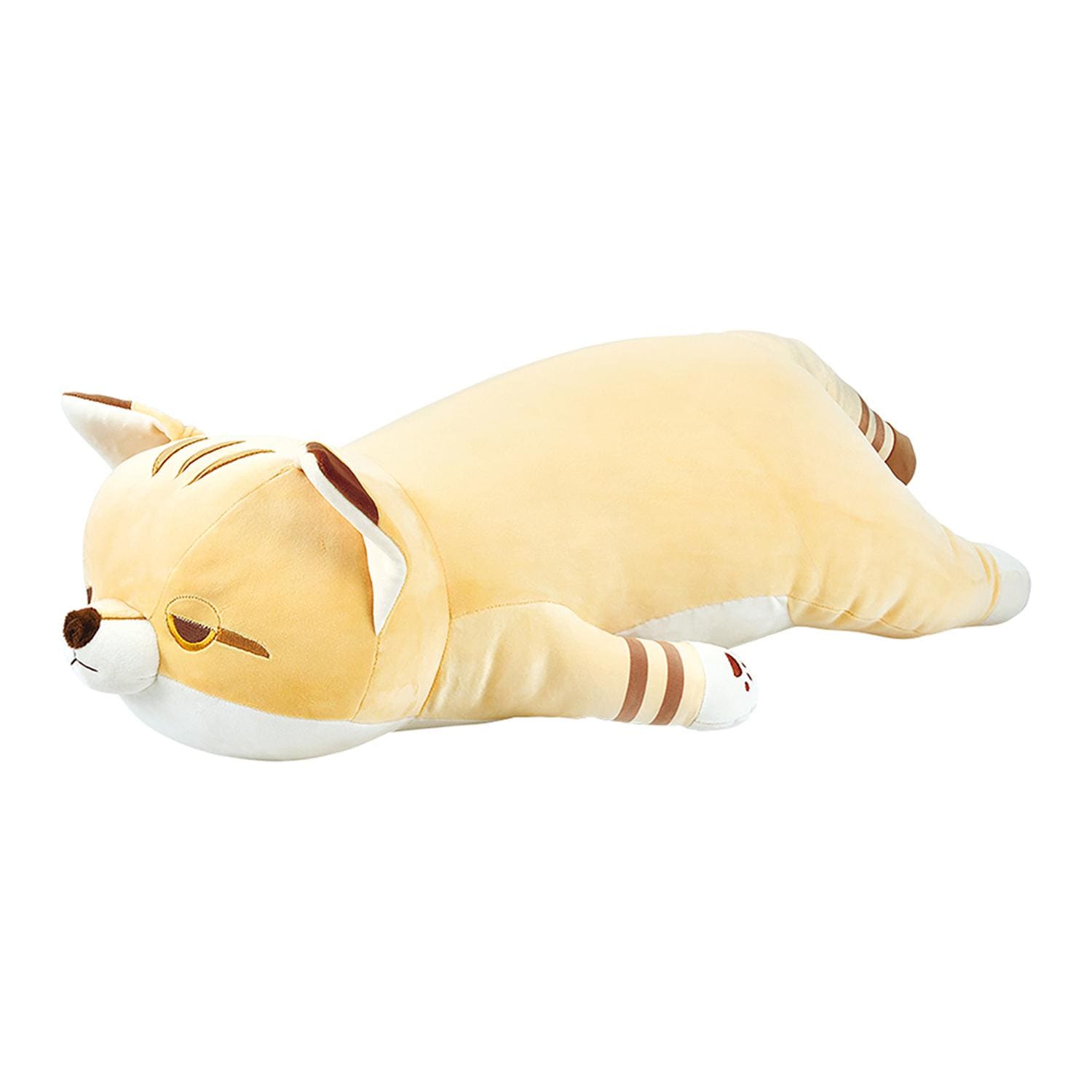 [}C]˂ނ˂ރv~A܂ M/obN[ht@~[iBACKYARD FAMILYj XiR