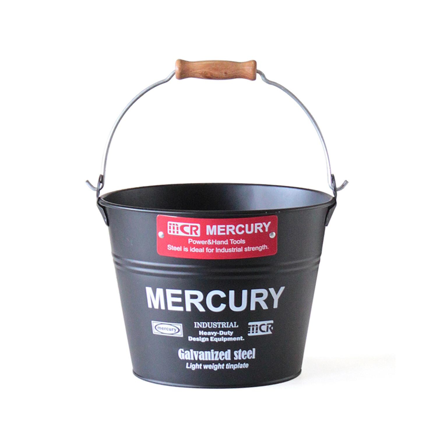 [}C]}[L[ oPc ʔ uLoPc X[ G  MERCURY  uL /obN[ht@~[iBACKYARD FAMILYj }bgubN