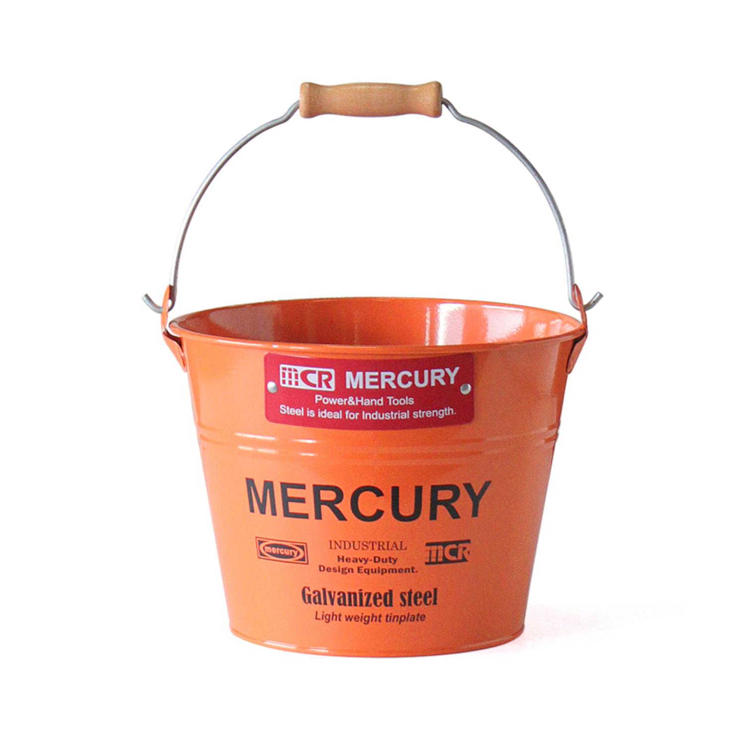 [}C]}[L[ oPc ʔ uLoPc X[ G  MERCURY  uL /obN[ht@~[iBACKYARD FAMILYj IW