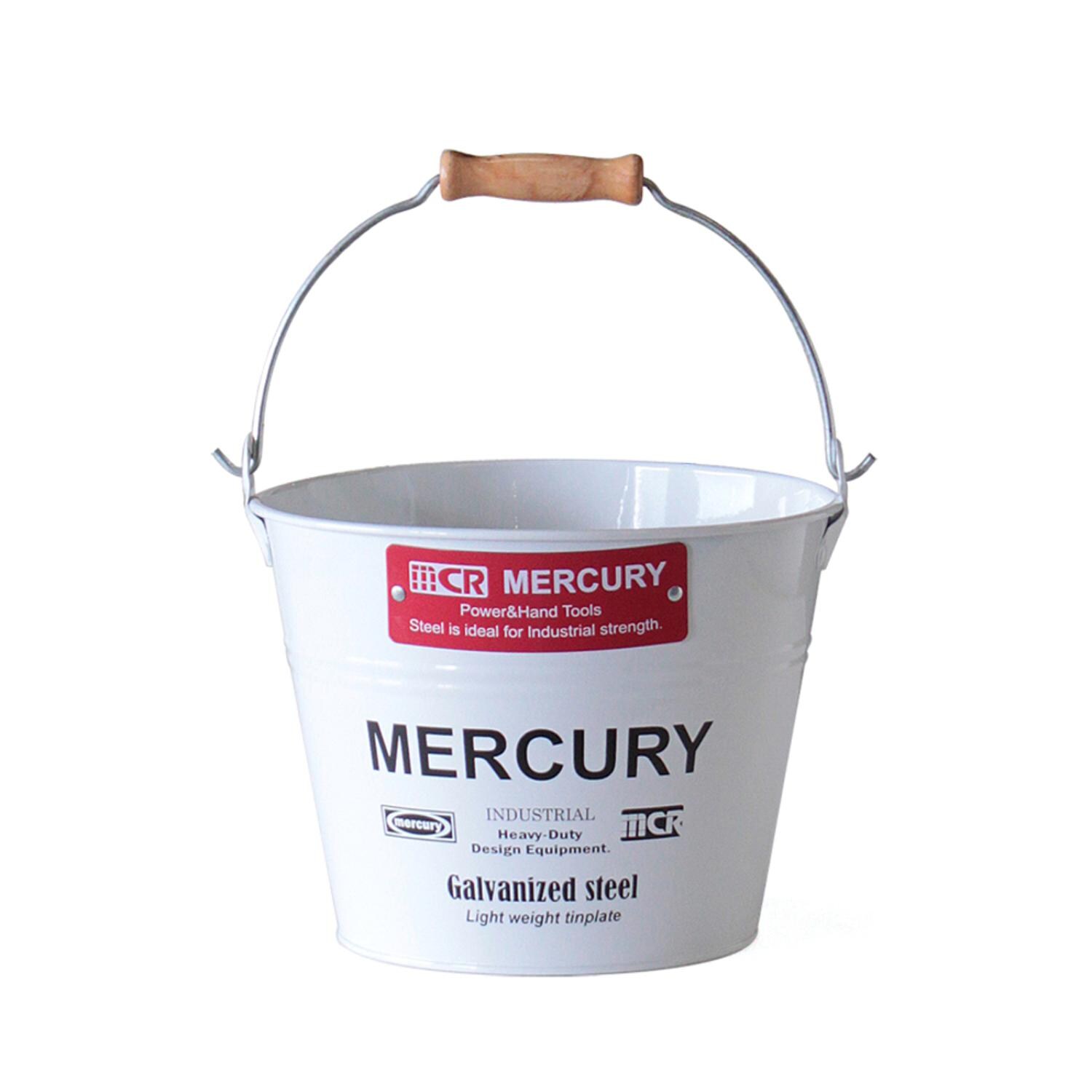 [}C]}[L[ oPc ʔ uLoPc X[ G  MERCURY  uL /obN[ht@~[iBACKYARD FAMILYj zCg