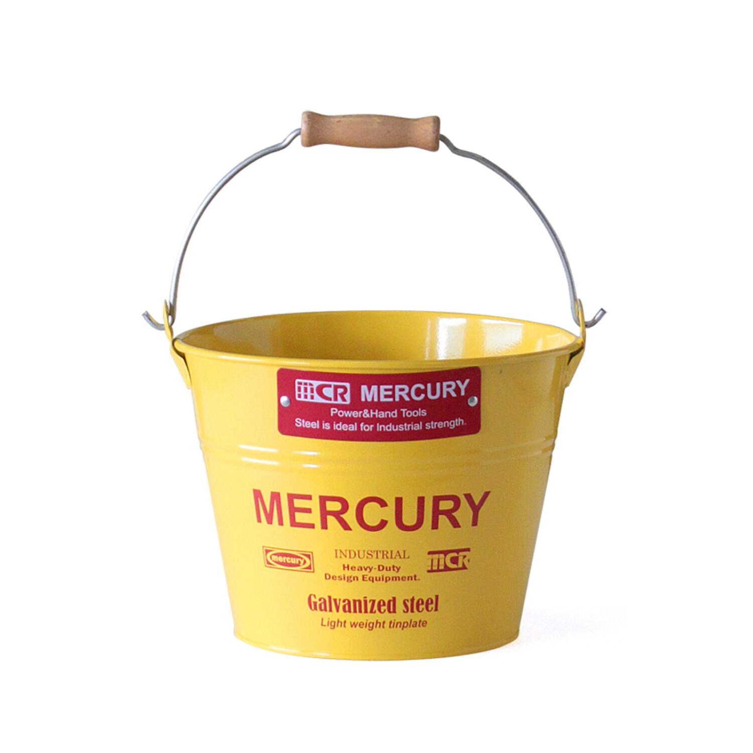 [}C]}[L[ oPc ʔ uLoPc X[ G  MERCURY  uL /obN[ht@~[iBACKYARD FAMILYj CG[