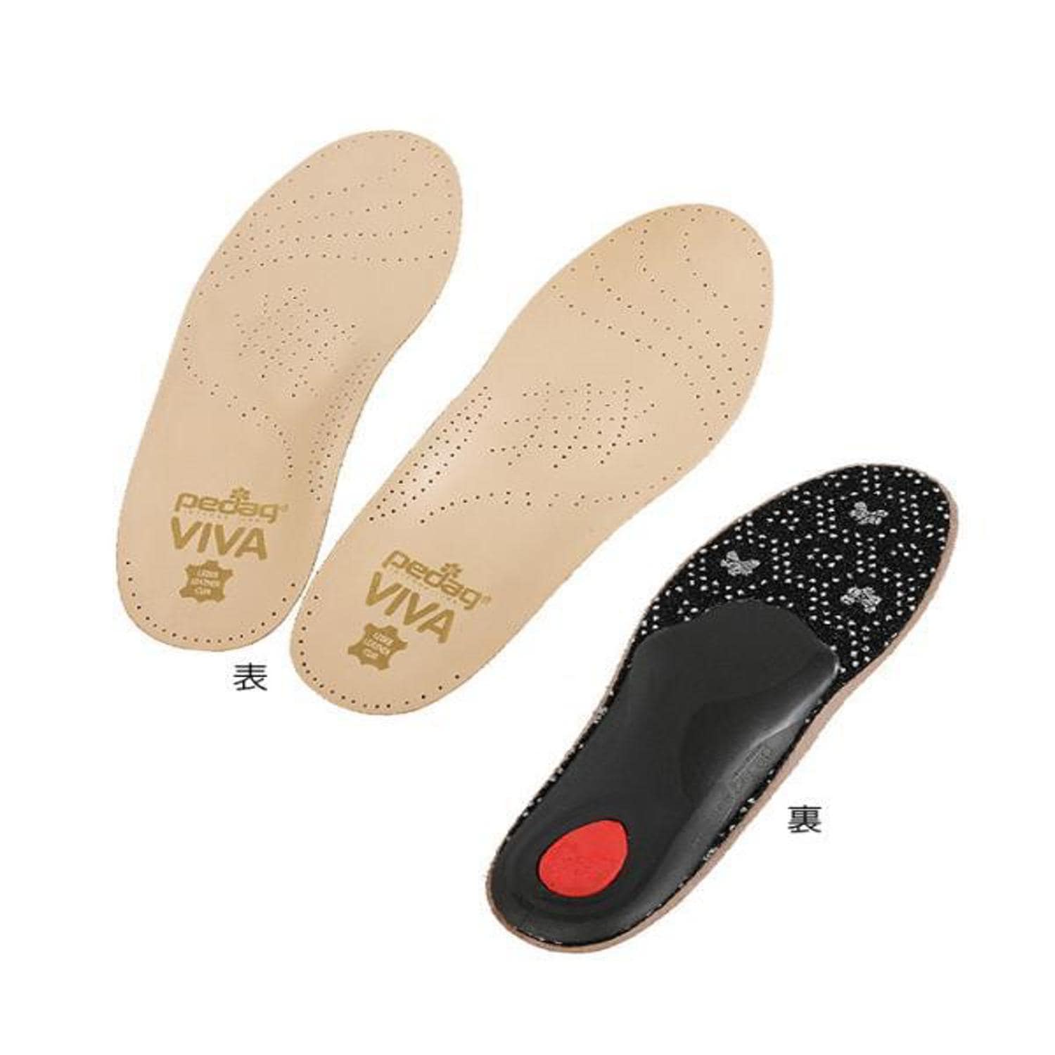 [}C]؃_bN ro C\[ Ռz ~ Ռ z L {v tC\[ L  z/obN[ht@~[iBACKYARD FAMILYj 38