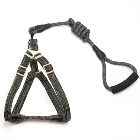 ハーネス 犬 通販 小型犬 中型犬 ハーネスベルト ハーネスリード おしゃれ かわいい 猫 いぬ イ バックヤードファミリー Backyard Family Cyg0011 ファッション通販 マルイウェブチャネル