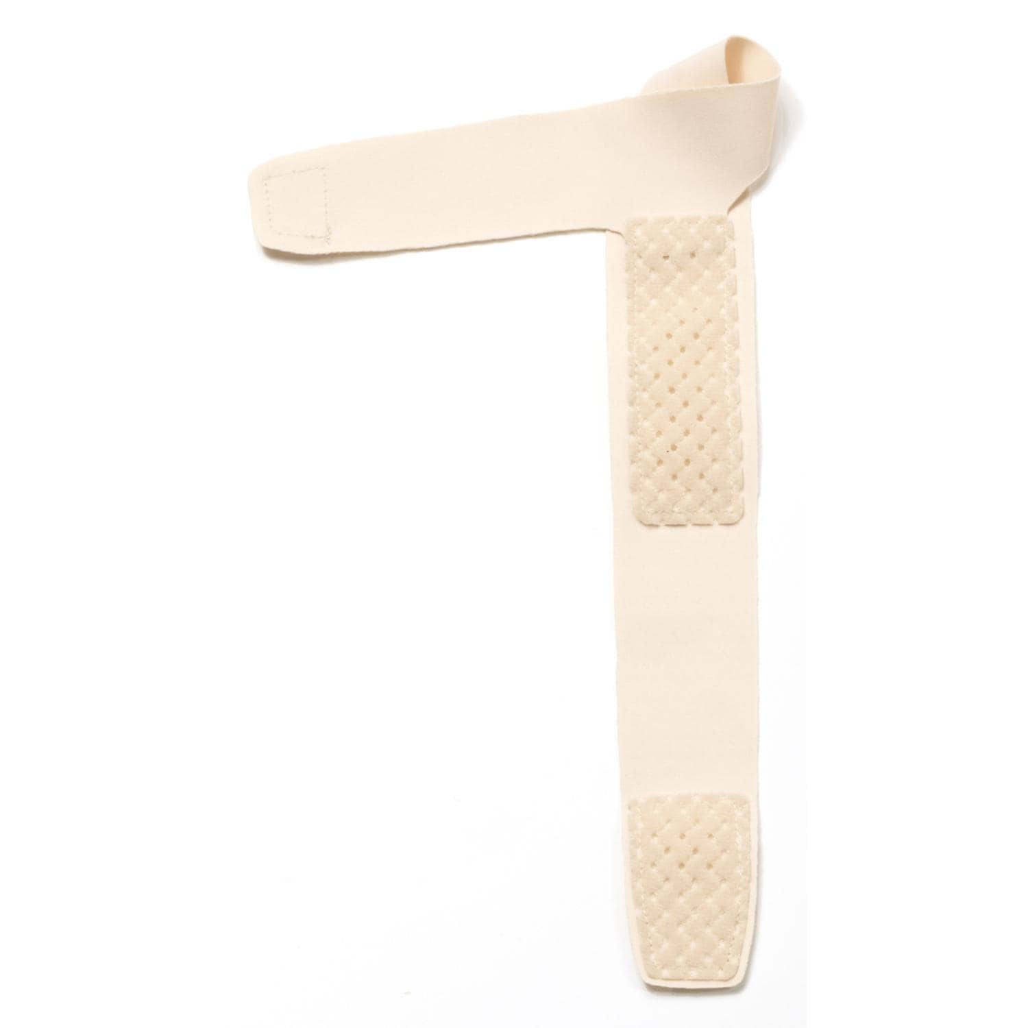 [}C]ڍ@̐搶ďCw̃T|[^[/obN[ht@~[iBACKYARD FAMILYj x[W