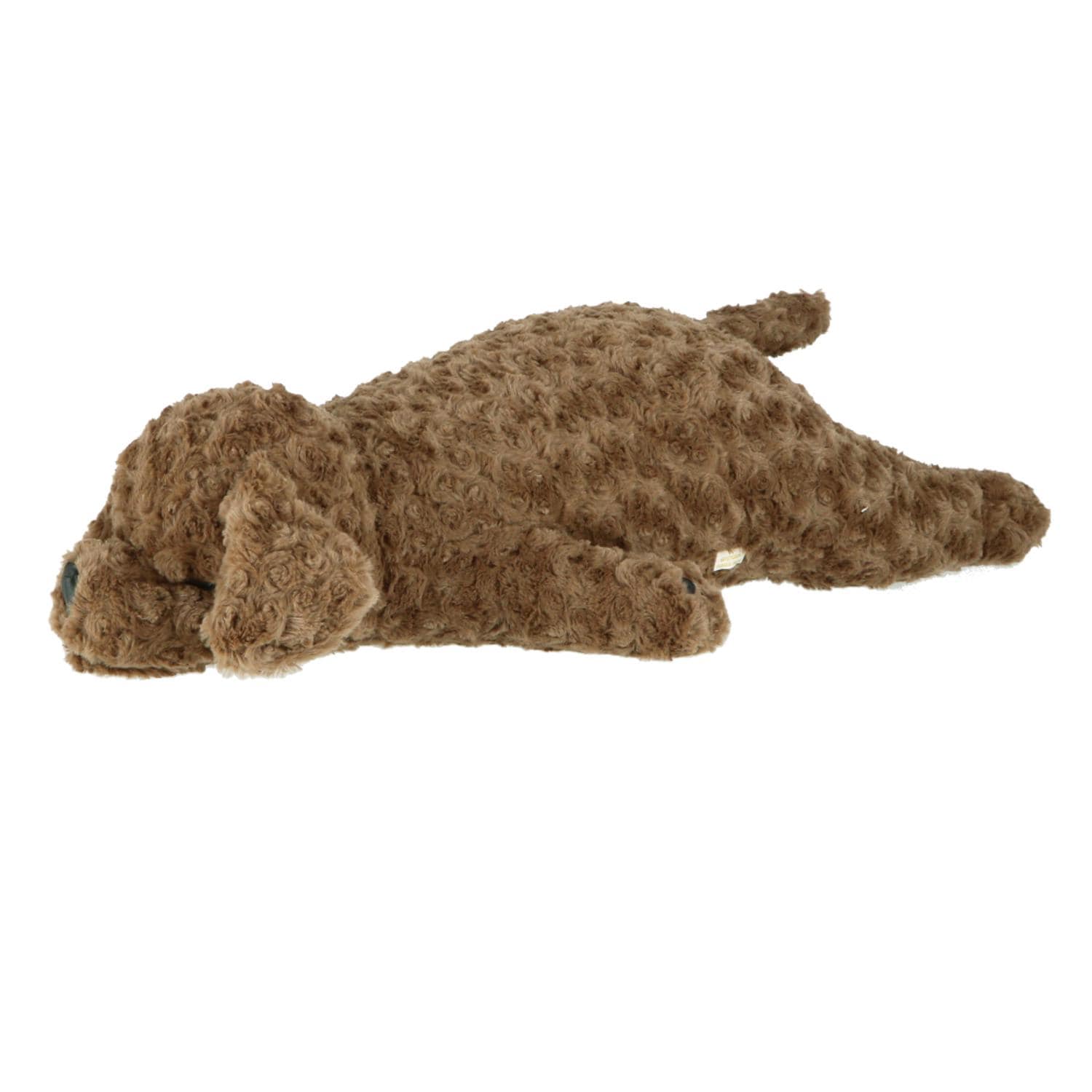 [}C]˂ނ˂ރv~A܂ L/obN[ht@~[iBACKYARD FAMILYj VR