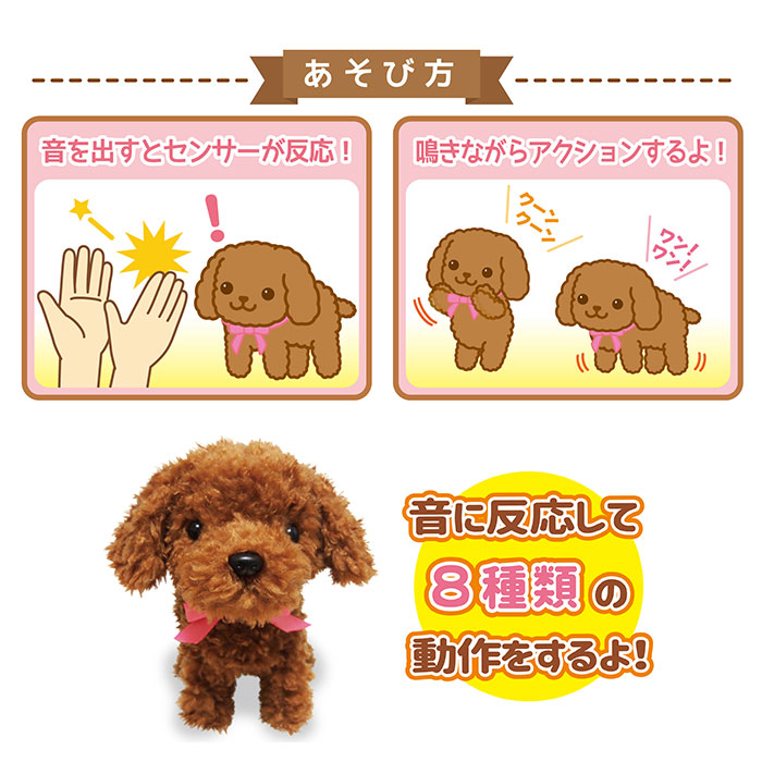 元気な仔犬 トイプードルのショコラちゃん | バックヤードファミリー(BACKYARD FAMILY) | toychocolat |  ファッション通販 マルイウェブチャネル