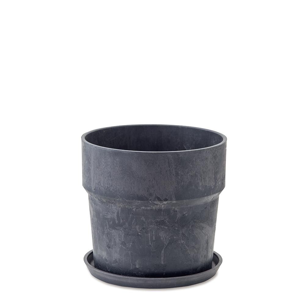 [}C]A[ovc|bg }[u \bh 6TCY/obN[ht@~[iBACKYARD FAMILYj 81003.`R[