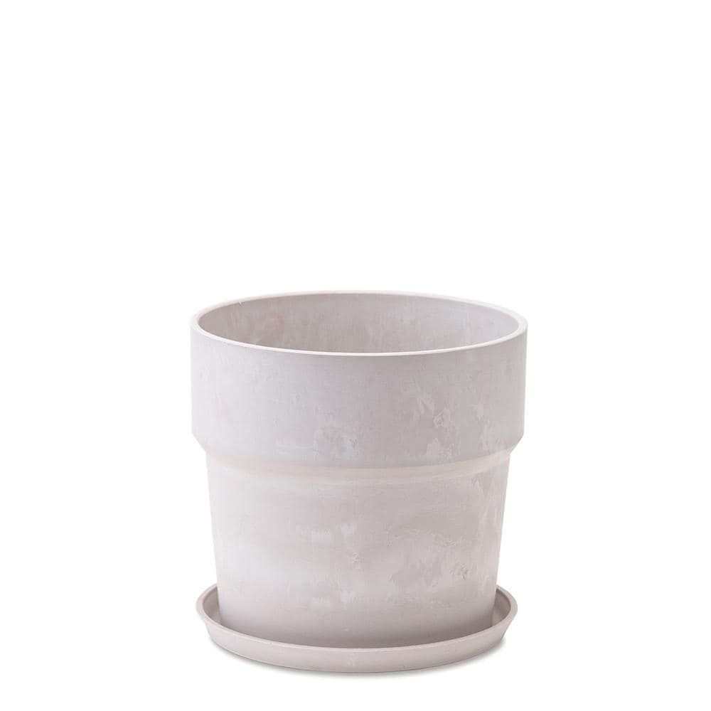 [}C]A[ovc|bg }[u \bh 6TCY/obN[ht@~[iBACKYARD FAMILYj 81004.~N