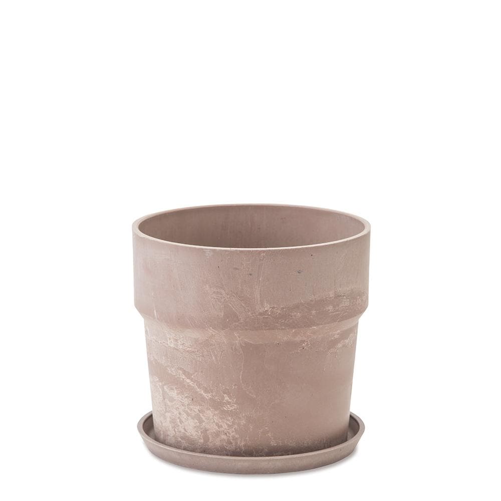 [}C]A[ovc|bg }[u \bh 6TCY/obN[ht@~[iBACKYARD FAMILYj 81005.Vi