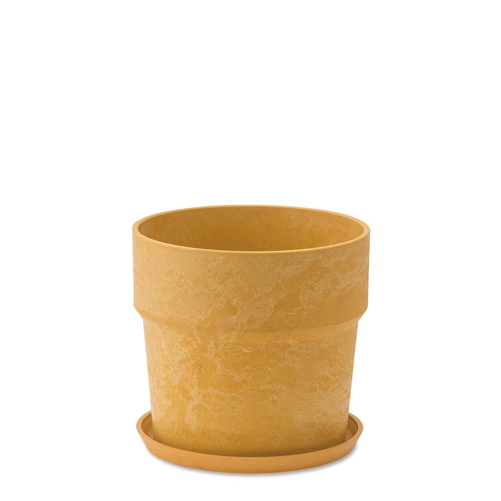 [}C]A[ovc|bg }[u \bh 6TCY/obN[ht@~[iBACKYARD FAMILYj 81007.