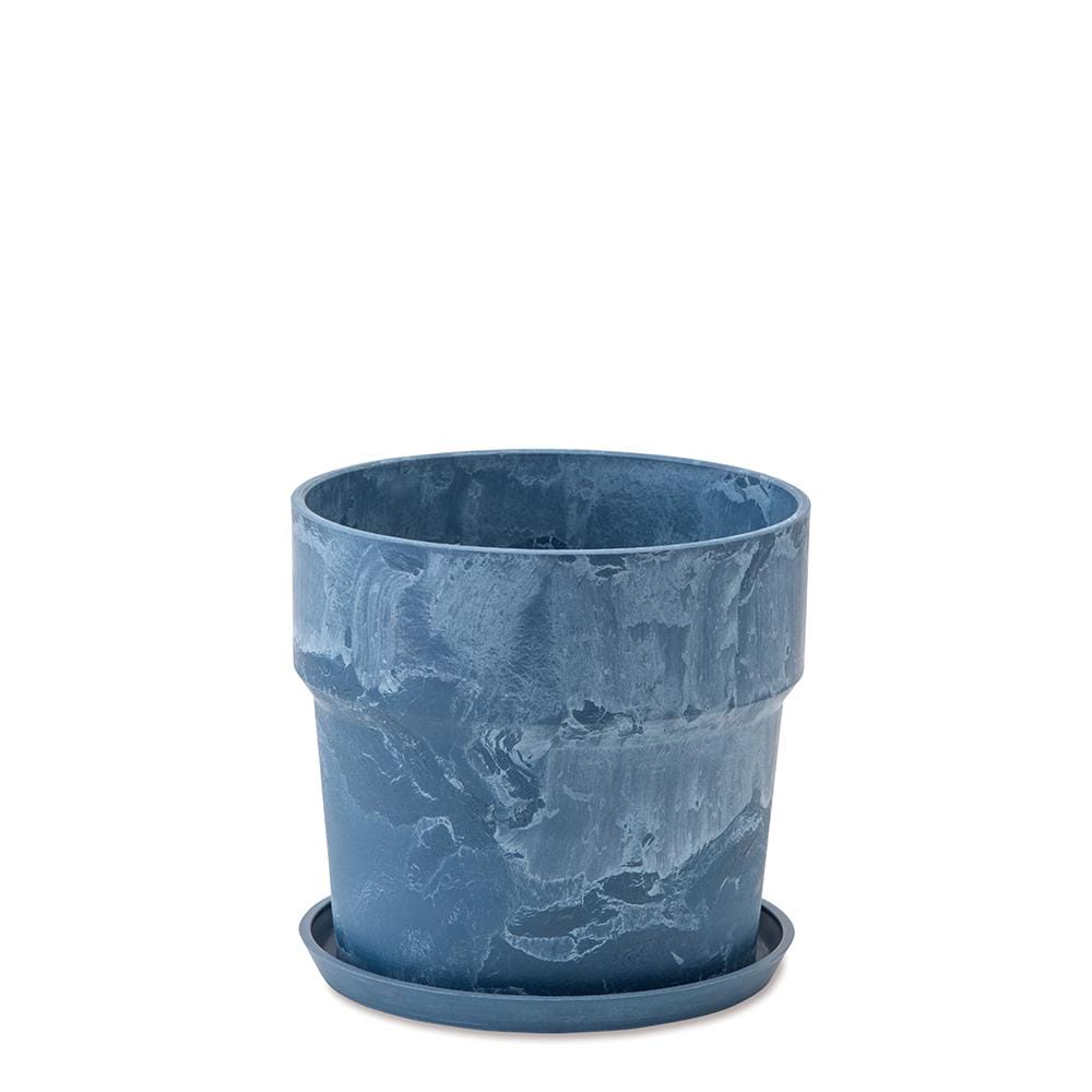 [}C]A[ovc|bg }[u \bh 6TCY/obN[ht@~[iBACKYARD FAMILYj 81008.u[x[