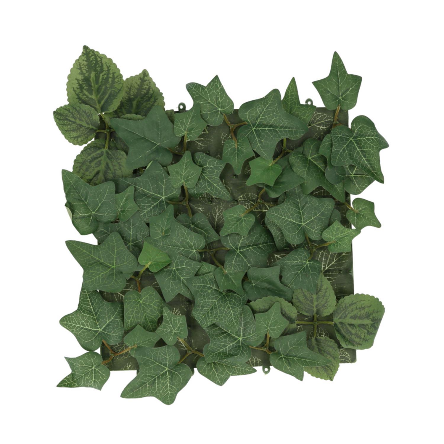 [}C]GNA LA[eBtBVO[/obN[ht@~[iBACKYARD FAMILYj Green