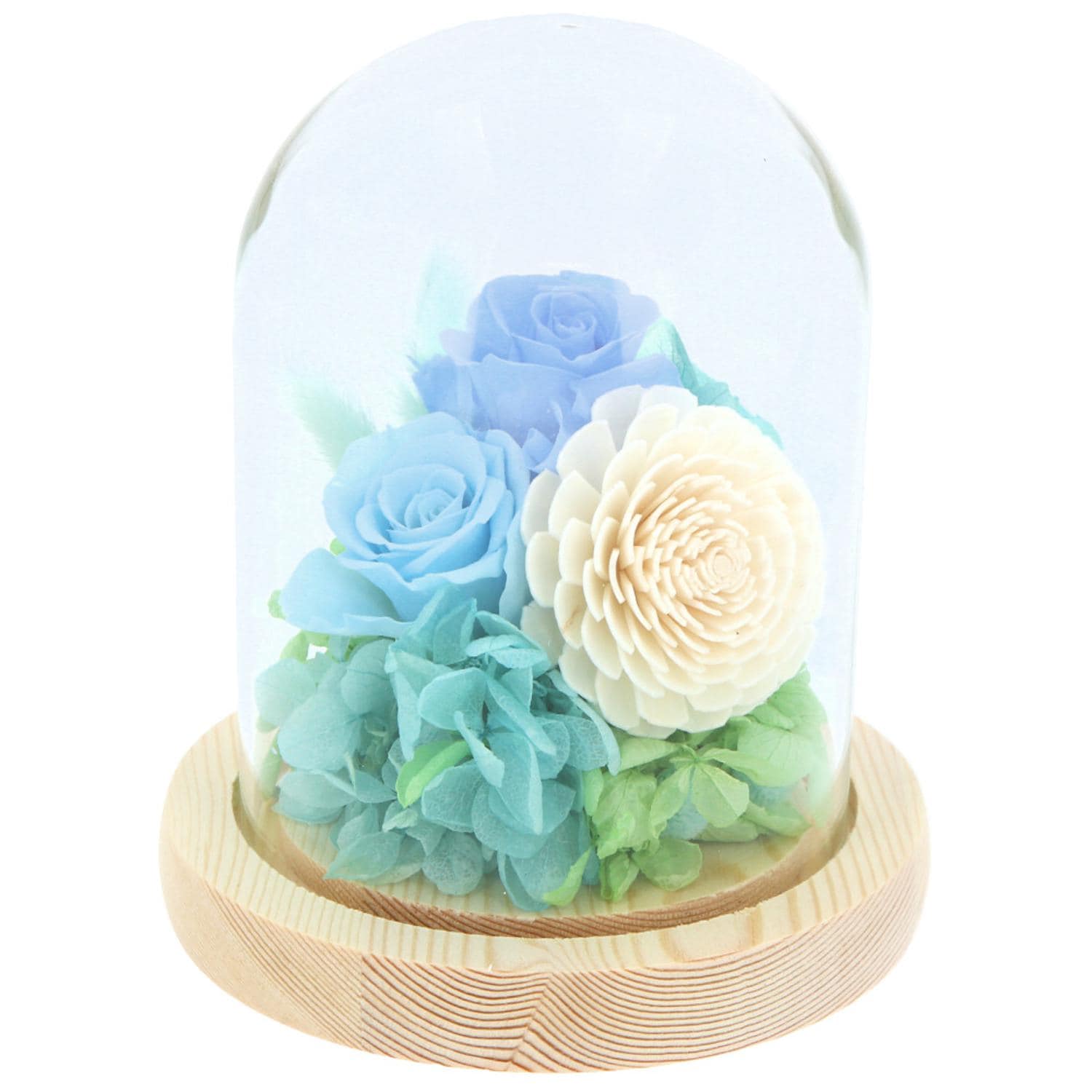 [}C]\C KXh[ AWg/obN[ht@~[iBACKYARD FAMILYj ^[RCY/u[