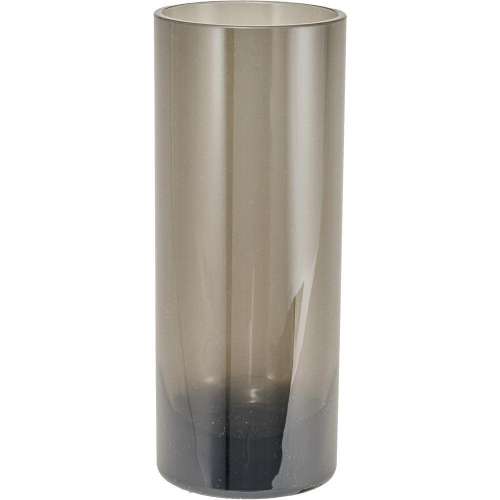 [}C]PV V_[12 H30/obN[ht@~[iBACKYARD FAMILYj O[