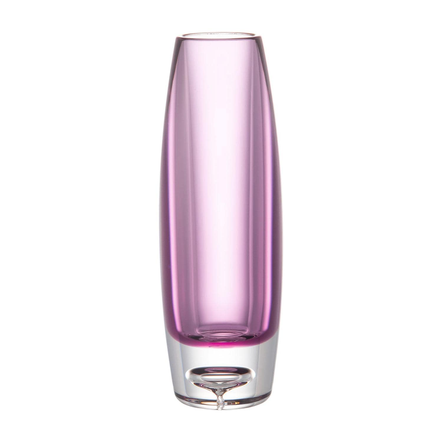 [}C]PV ֑} X/obN[ht@~[iBACKYARD FAMILYj p[v