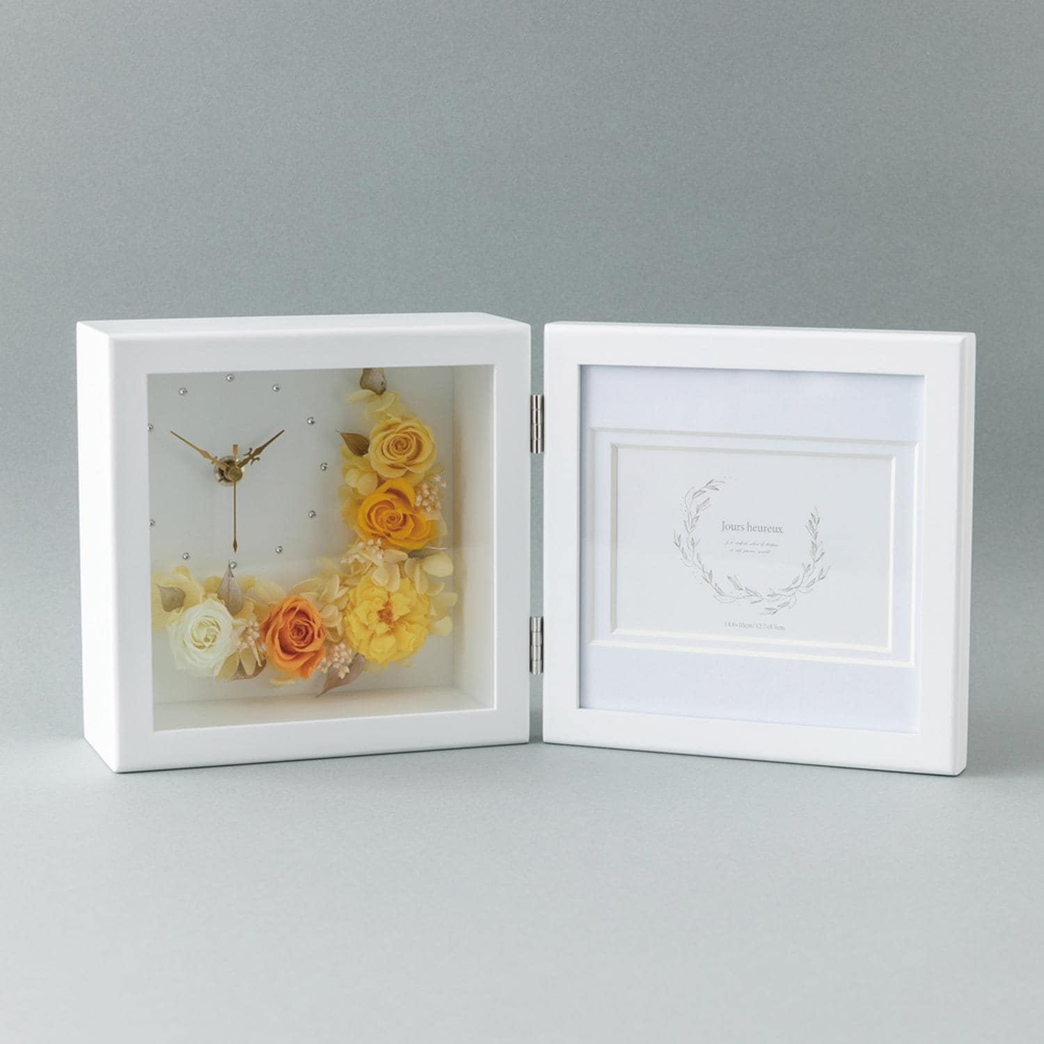 [}C]Zu vttHgt[/obN[ht@~[iBACKYARD FAMILYj CG[