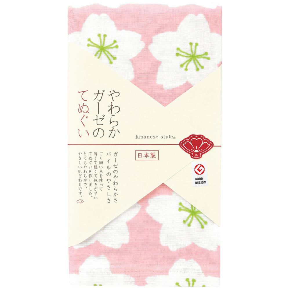 [}C]炩K[[̂Ăʂ/obN[ht@~[iBACKYARD FAMILYj 