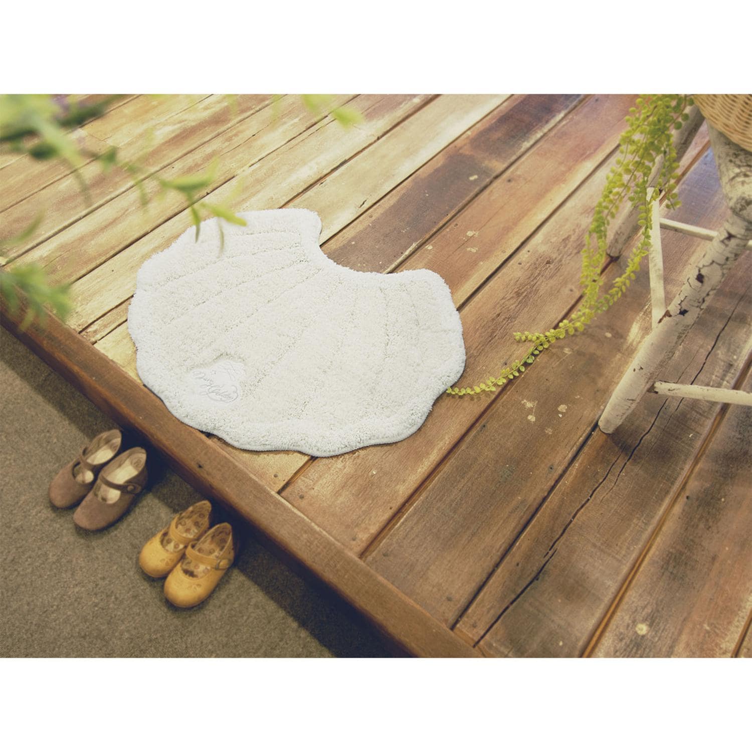 [}C][W[g CeA}bg VF/obN[ht@~[iBACKYARD FAMILYj N[