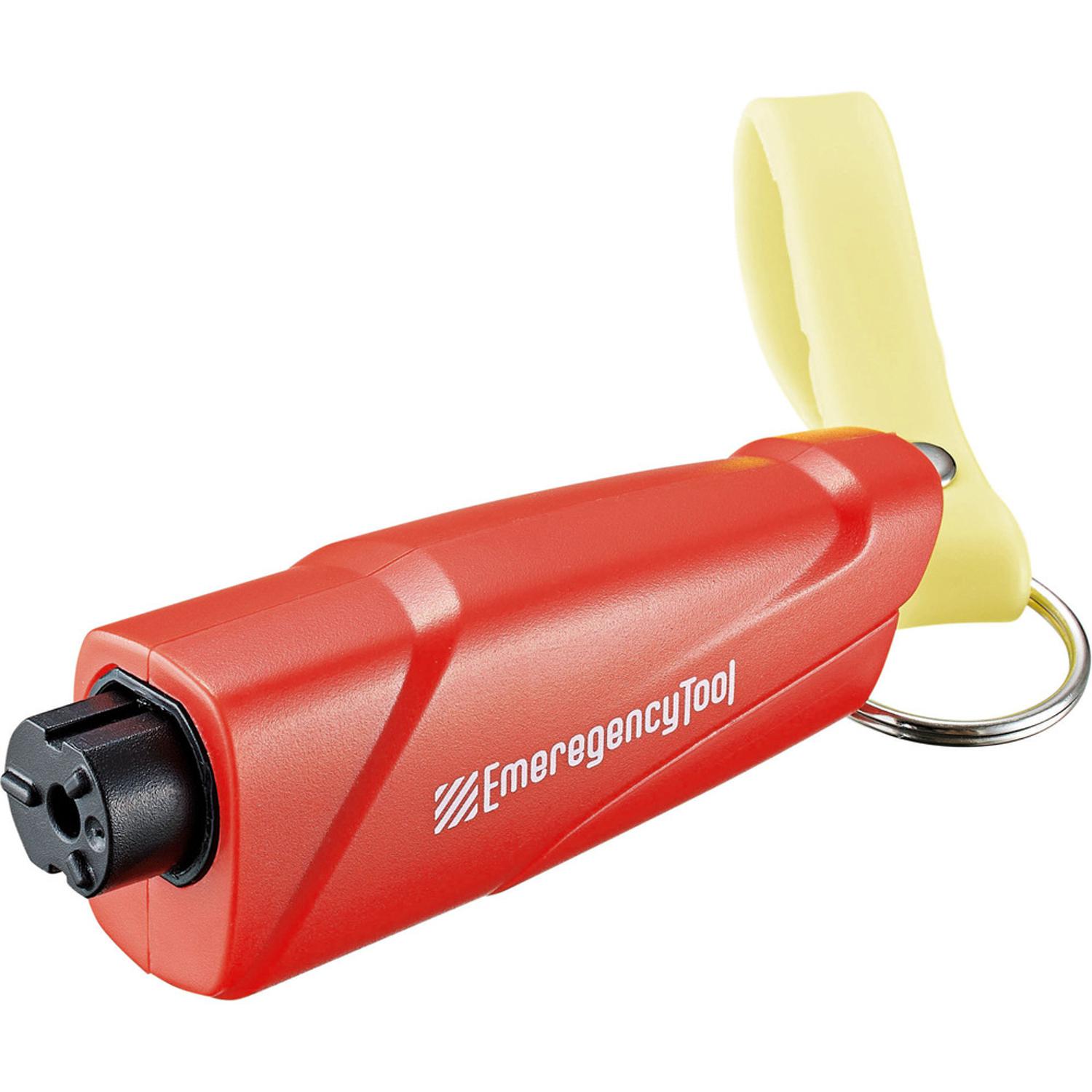 [}C]ԒEoIً}RpNgc[/obN[ht@~[iBACKYARD FAMILYj bh