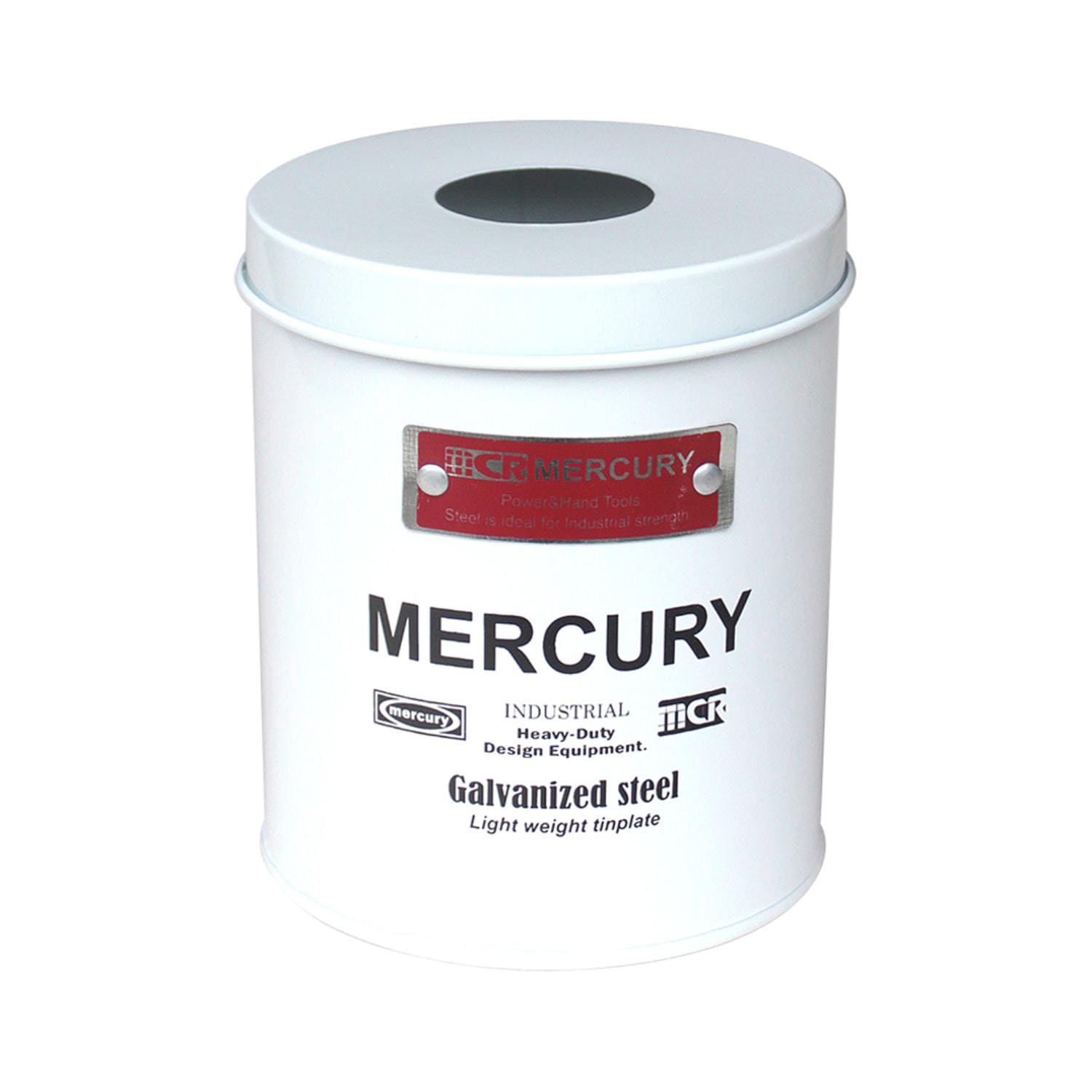 [}C]MERCURY }[L[ uLTj^[y[p[z_[/obN[ht@~[iBACKYARD FAMILYj zCg