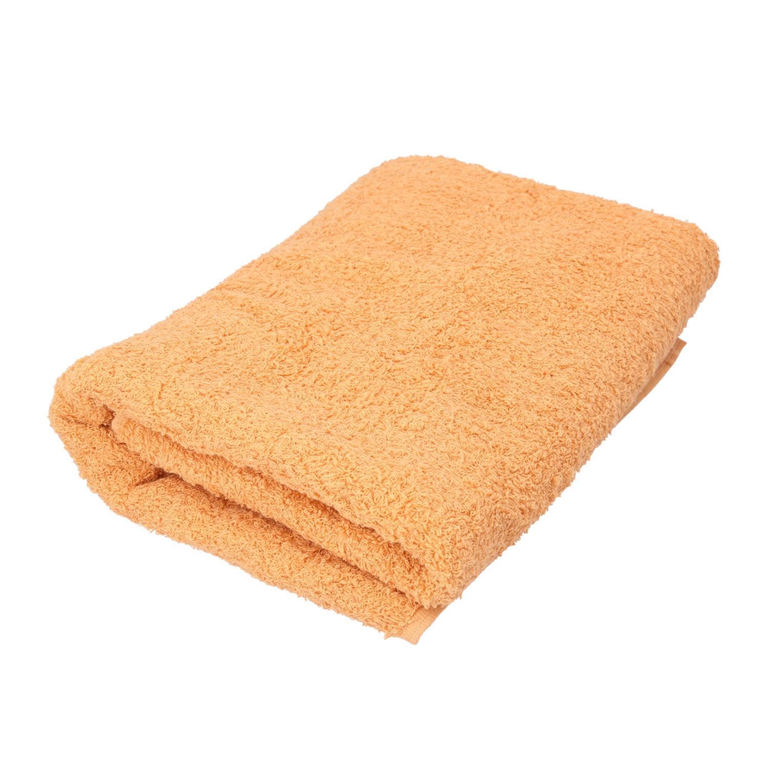 [}C]B^I C.A.J[ oX^I/obN[ht@~[iBACKYARD FAMILYj 11I[J[