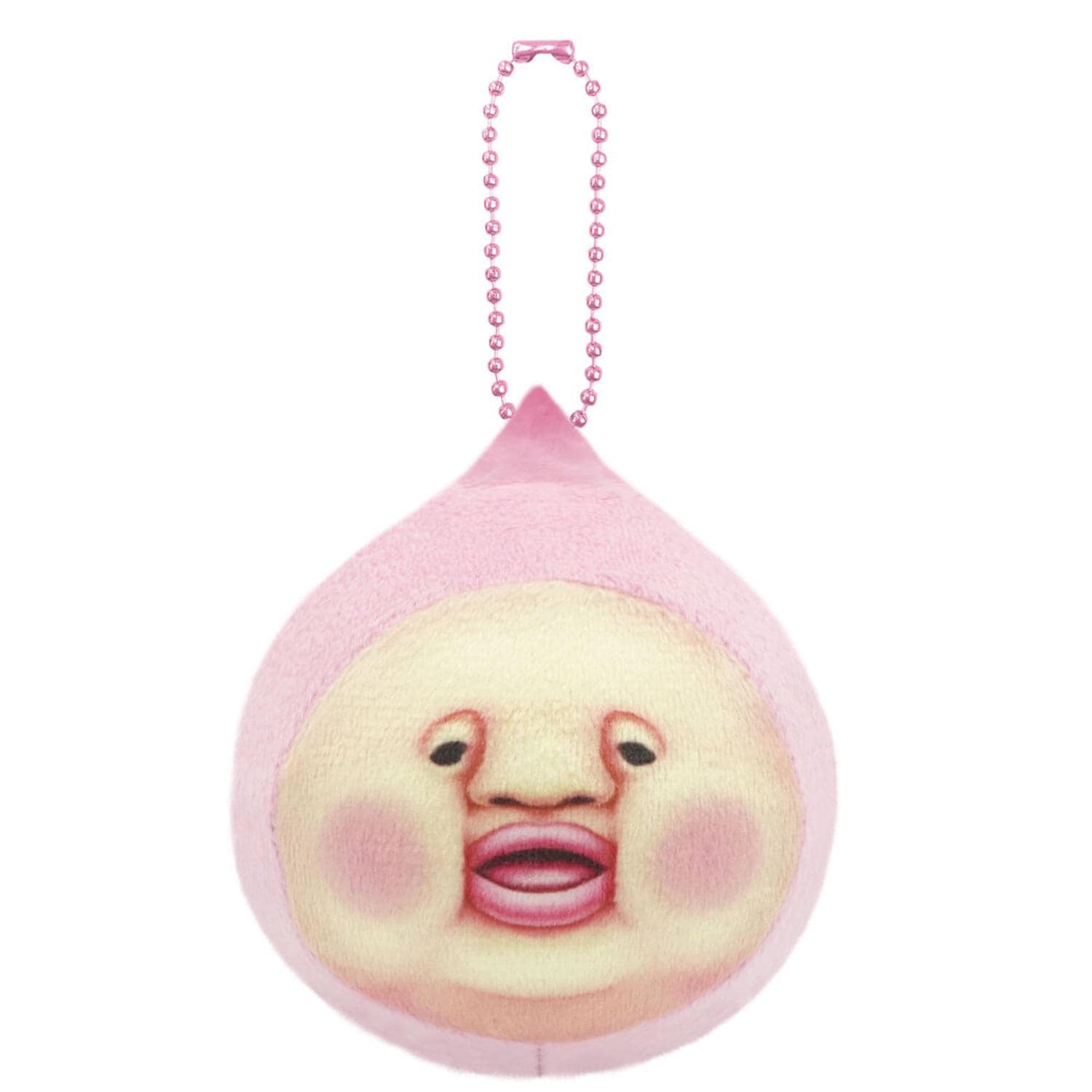 [}C]LN^[}XRbg`F[ ʂ[/obN[ht@~[iBACKYARD FAMILYj JNW