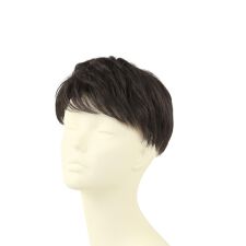 プリシラ 男性用5分ウィッグ レイヤーショート GB-22