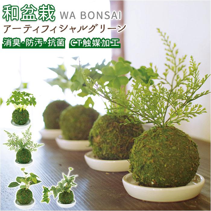 WA BONSAI 和盆栽消臭アーティフィシャルグリーン | バックヤード