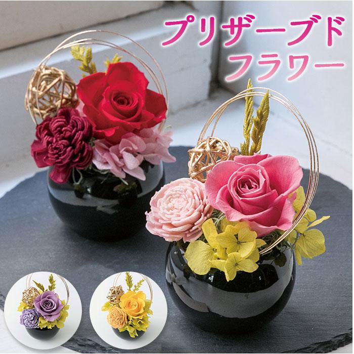 ドライフラワー コルクボトル | バックヤードファミリー(BACKYARD