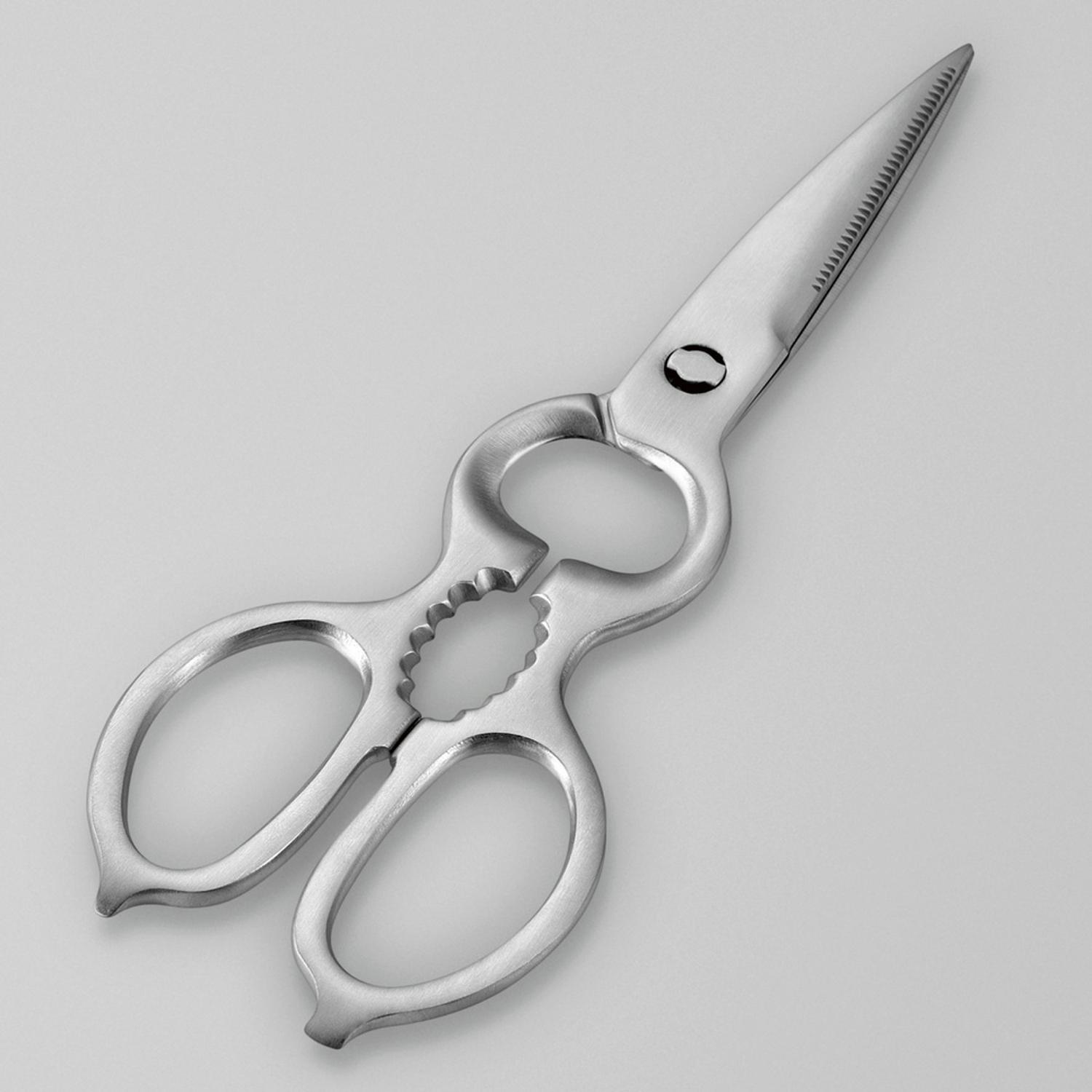 [}C]킢H[ I[XeXLb`nT~ O/obN[ht@~[iBACKYARD FAMILYj Vo[