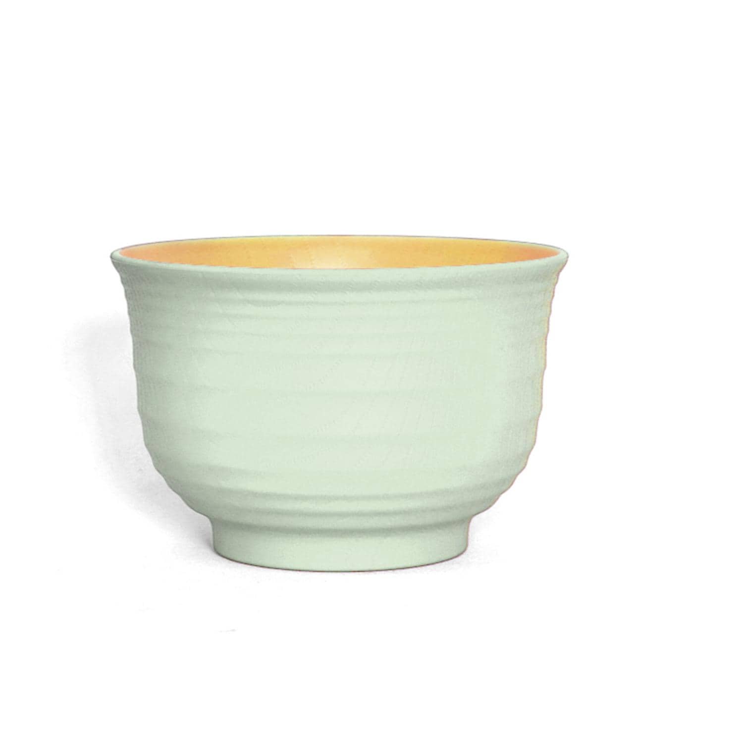 [}C]TONES po/obN[ht@~[iBACKYARD FAMILYj GREEN