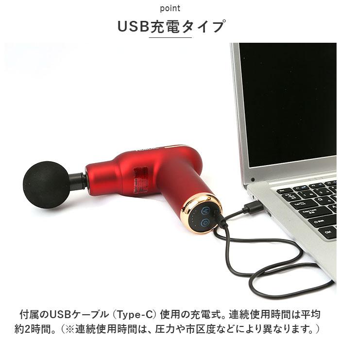 191×210×59mm付属品【温熱】筋膜リリースガン ヒュービテック(Hubdic