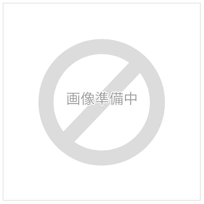 asics 安全靴 cp113