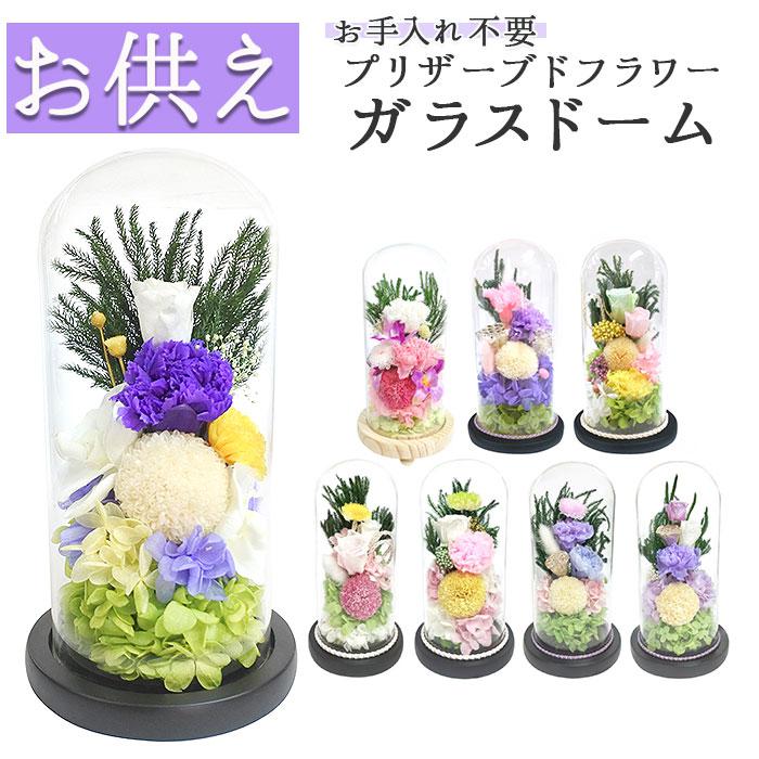 ドライフラワー コルクボトル | バックヤードファミリー(BACKYARD