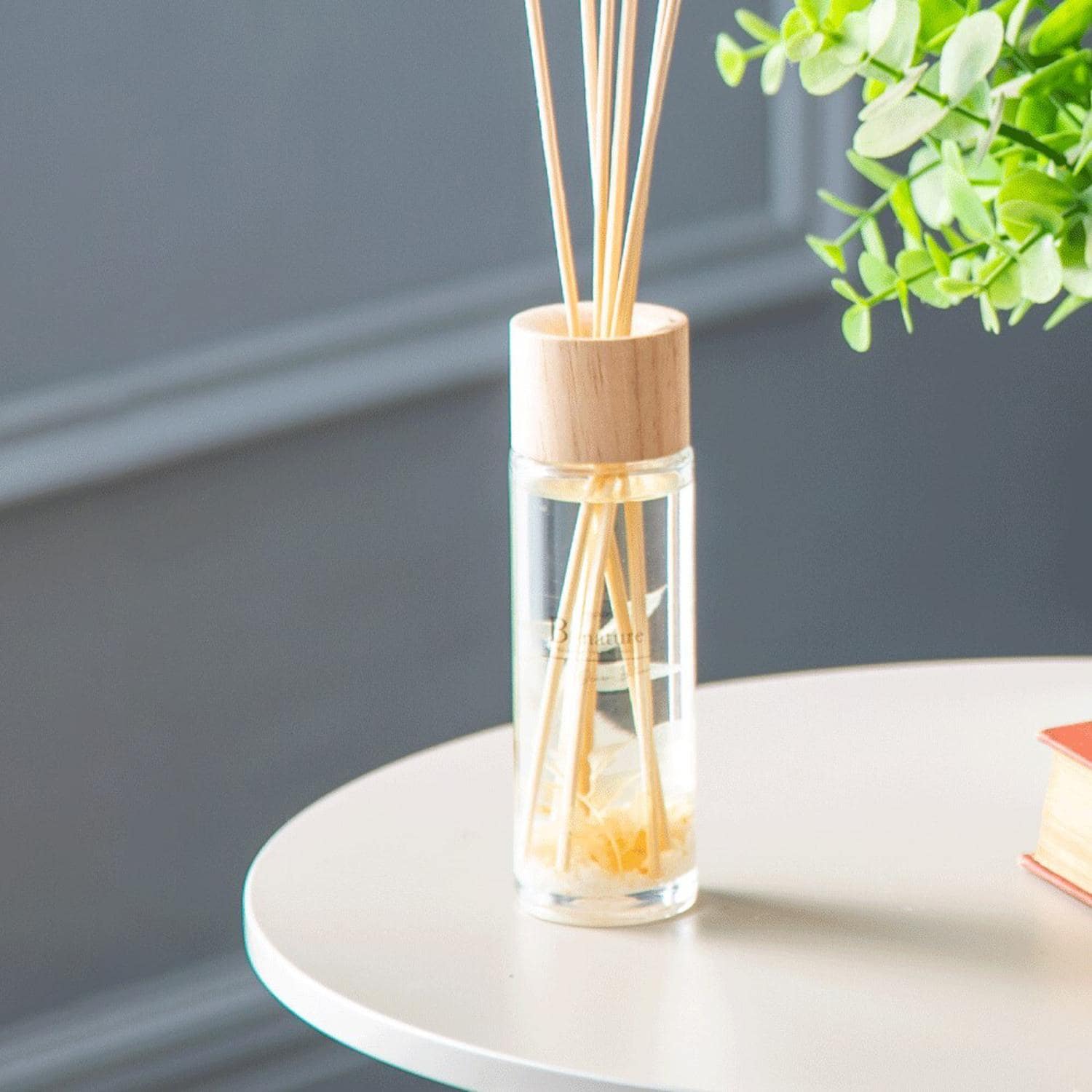 [}C]B-nature [hfBt[U[ 120ml/obN[ht@~[iBACKYARD FAMILYj I[Vu[