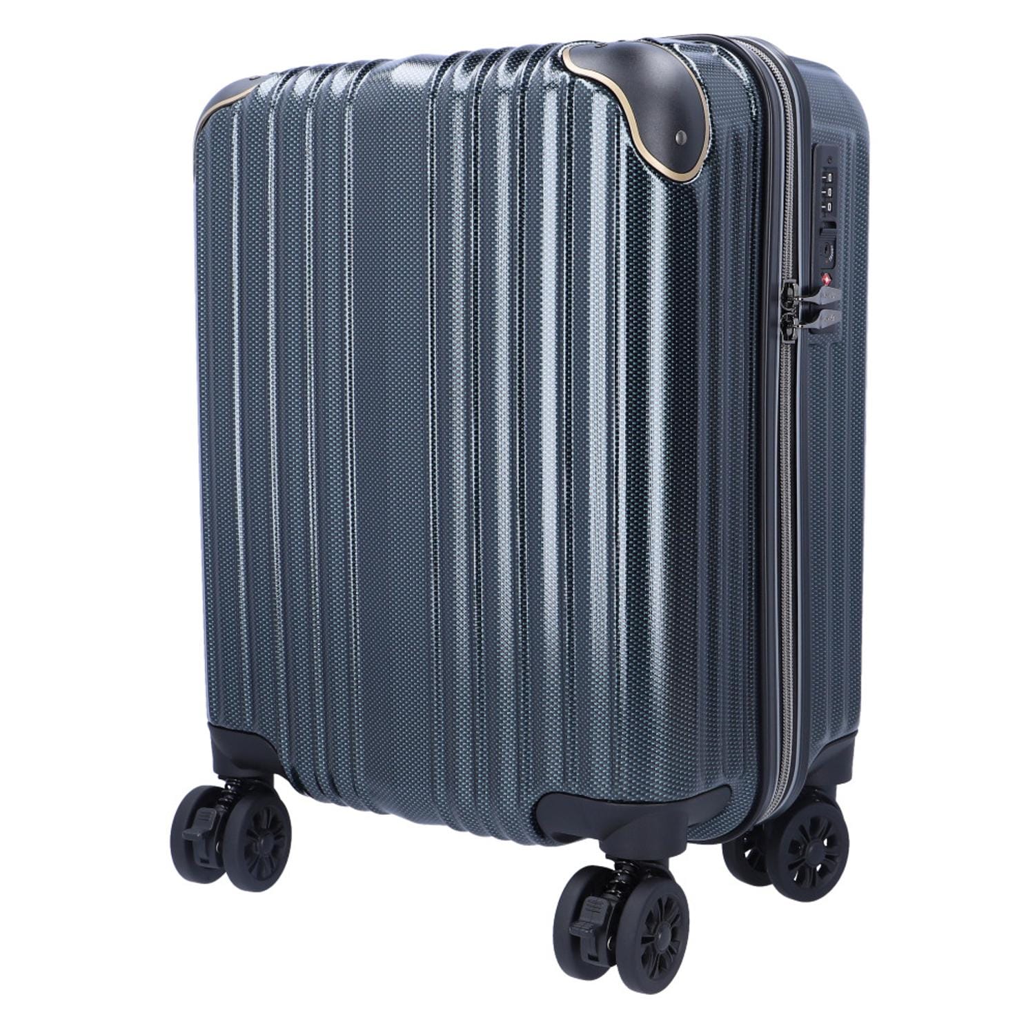 [}C]wise:ly CY[ X[cP[X 27L/obN[ht@~[iBACKYARD FAMILYj 2500.CO[