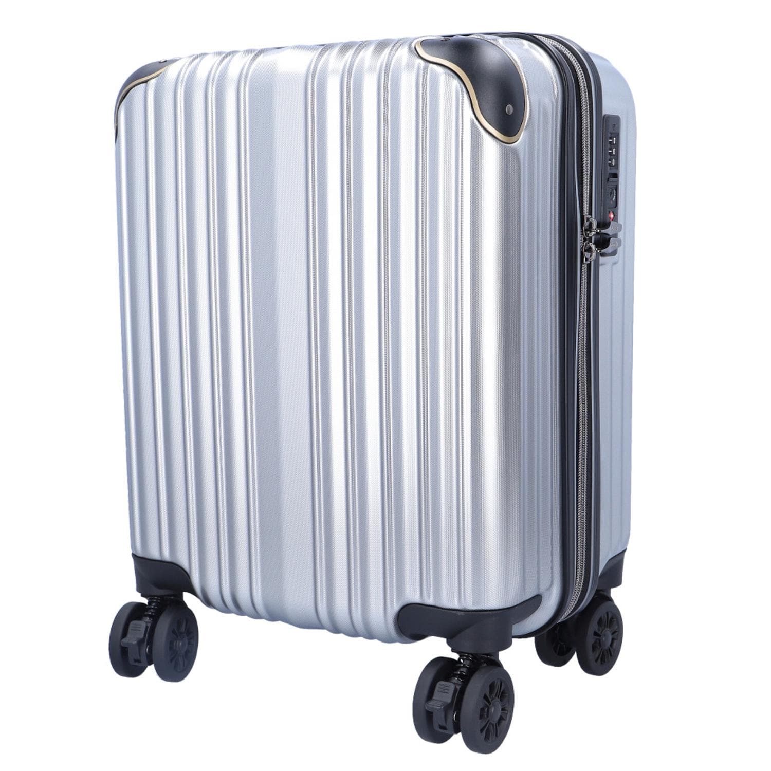 [}C]wise:ly CY[ X[cP[X 27L/obN[ht@~[iBACKYARD FAMILYj 2500.Vo[