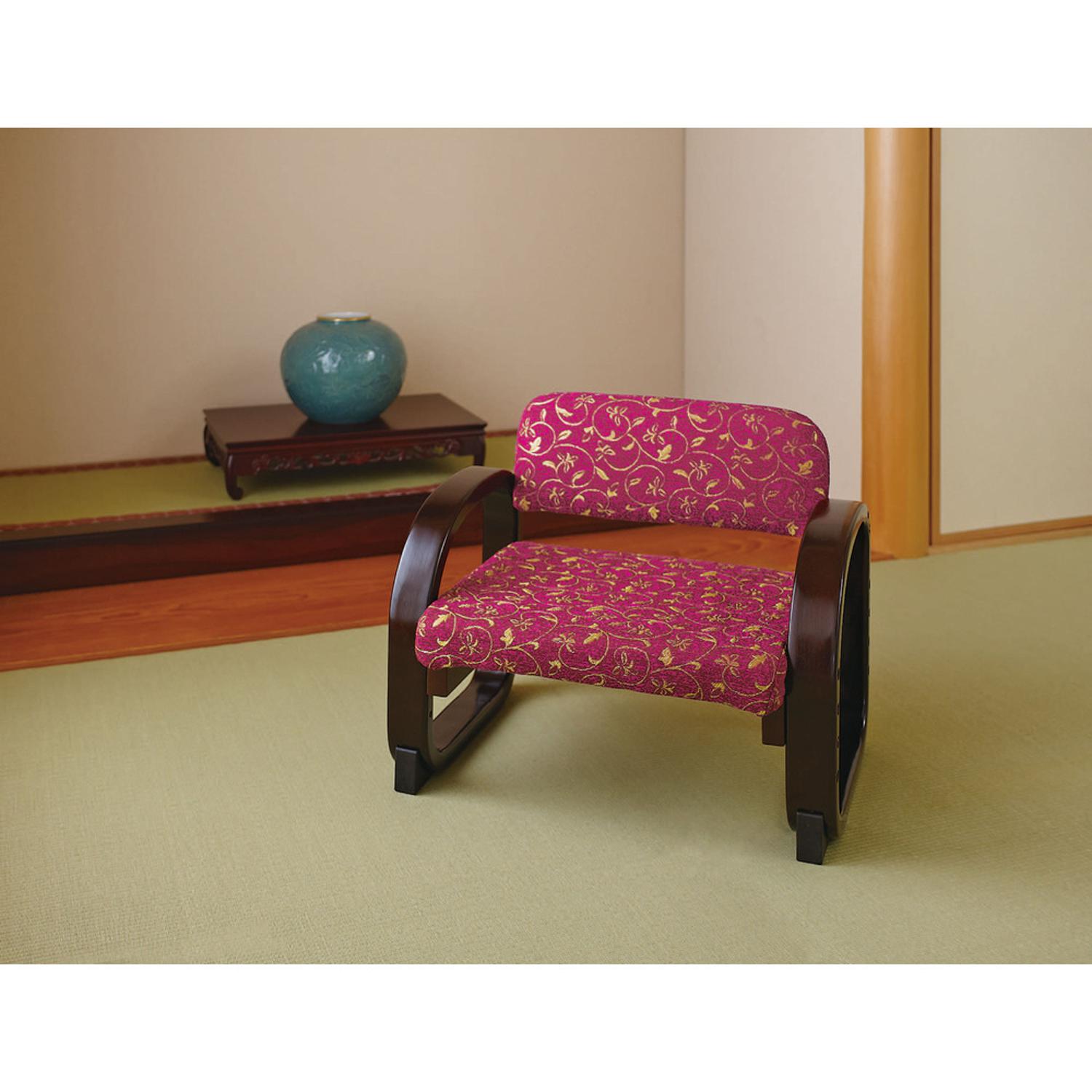 [}C]v~֎q/obN[ht@~[iBACKYARD FAMILYj GW