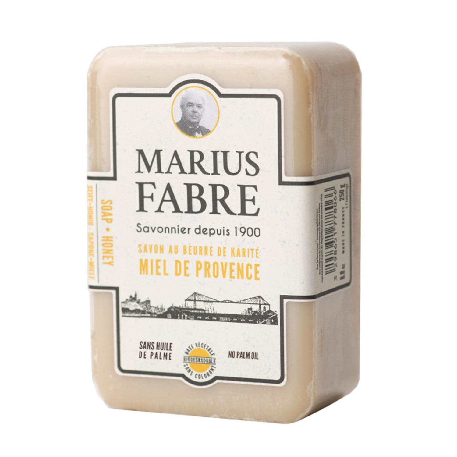 [}C]T{ h }ZC 1900/obN[ht@~[iBACKYARD FAMILYj nj[