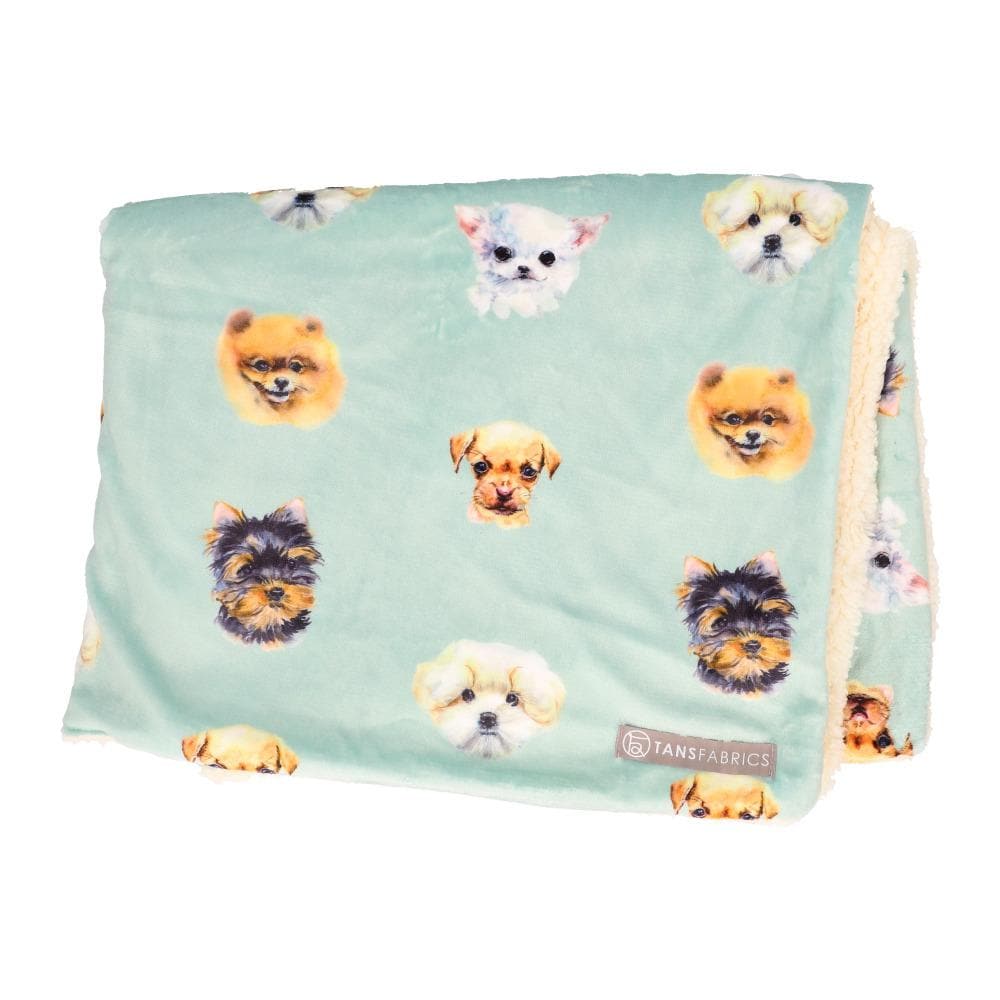 [}C]tl {AuPbg/obN[ht@~[iBACKYARD FAMILYj DOGFACE.~gu[