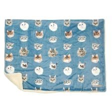 バックヤードファミリー(BACKYARD FAMILY)のフランネル ボアブランケット