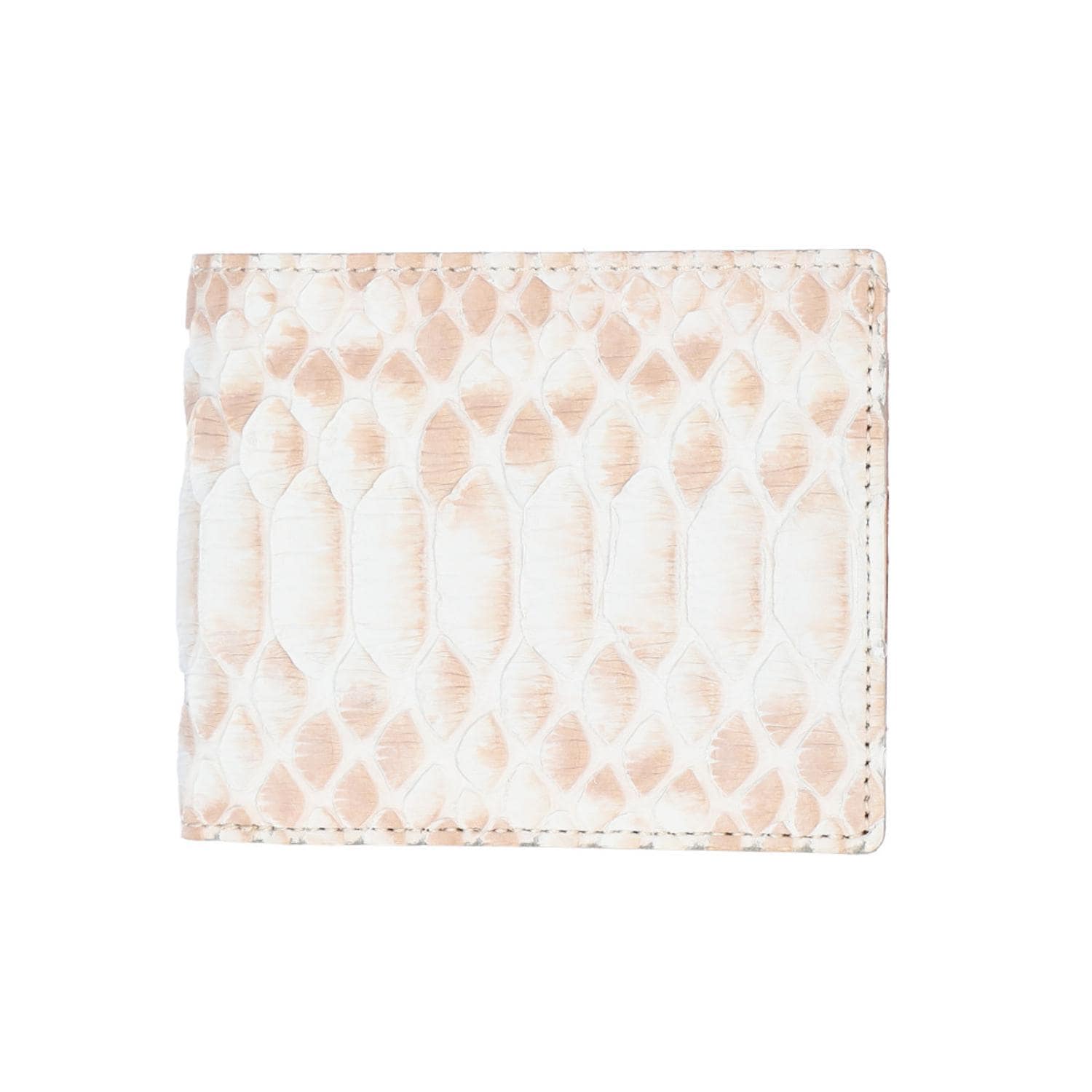 [}C]ZOO ZBF-016 u[`pC\ z/obN[ht@~[iBACKYARD FAMILYj zCg