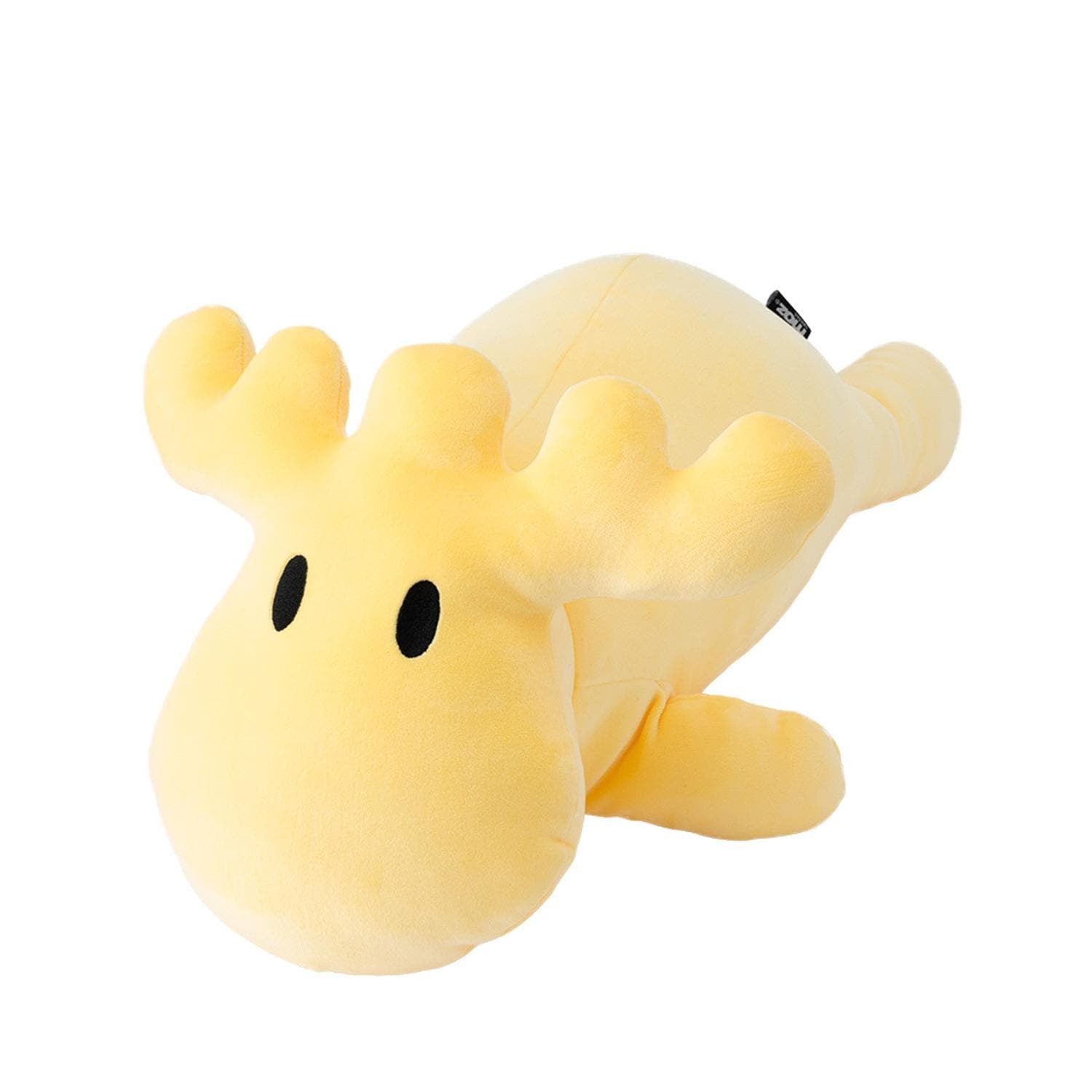 [}C]moz Y M/obN[ht@~[iBACKYARD FAMILYj CG[