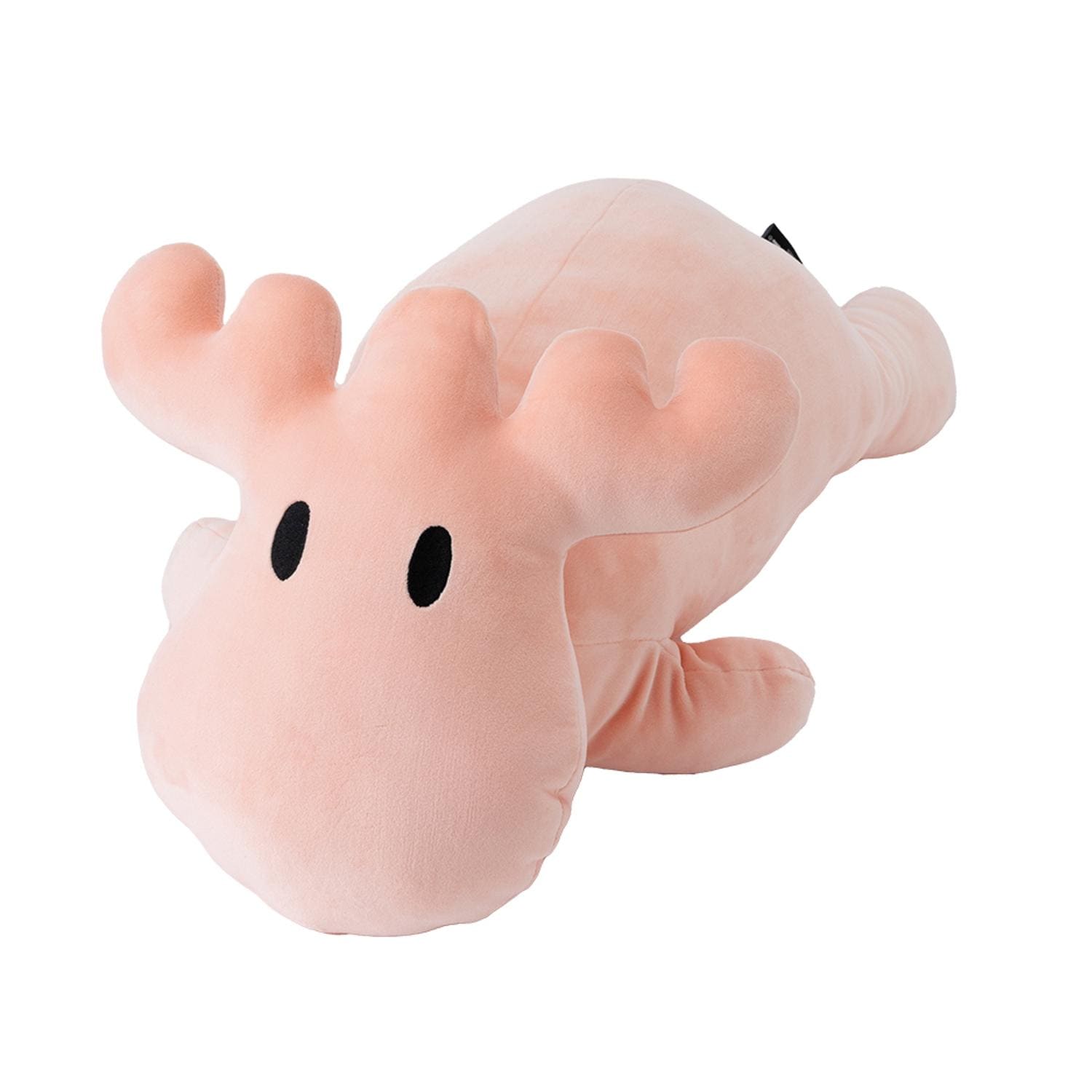 [}C]moz Y M/obN[ht@~[iBACKYARD FAMILYj sN