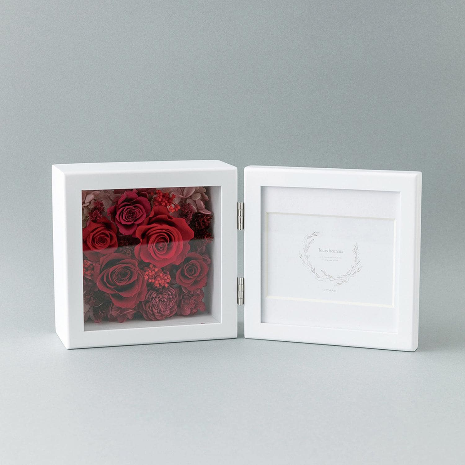 [}C]vU[uht[ tHgt[/obN[ht@~[iBACKYARD FAMILYj bh