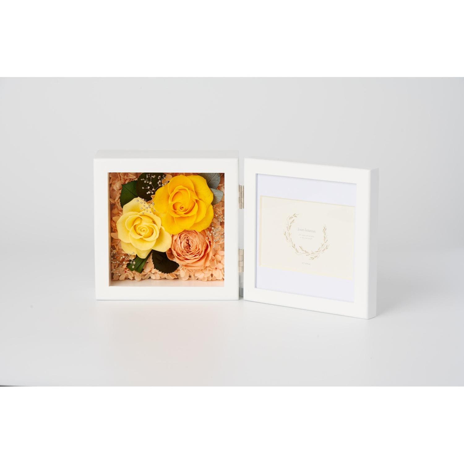 [}C]vU[uht[ tHgt[/obN[ht@~[iBACKYARD FAMILYj NX/CG[