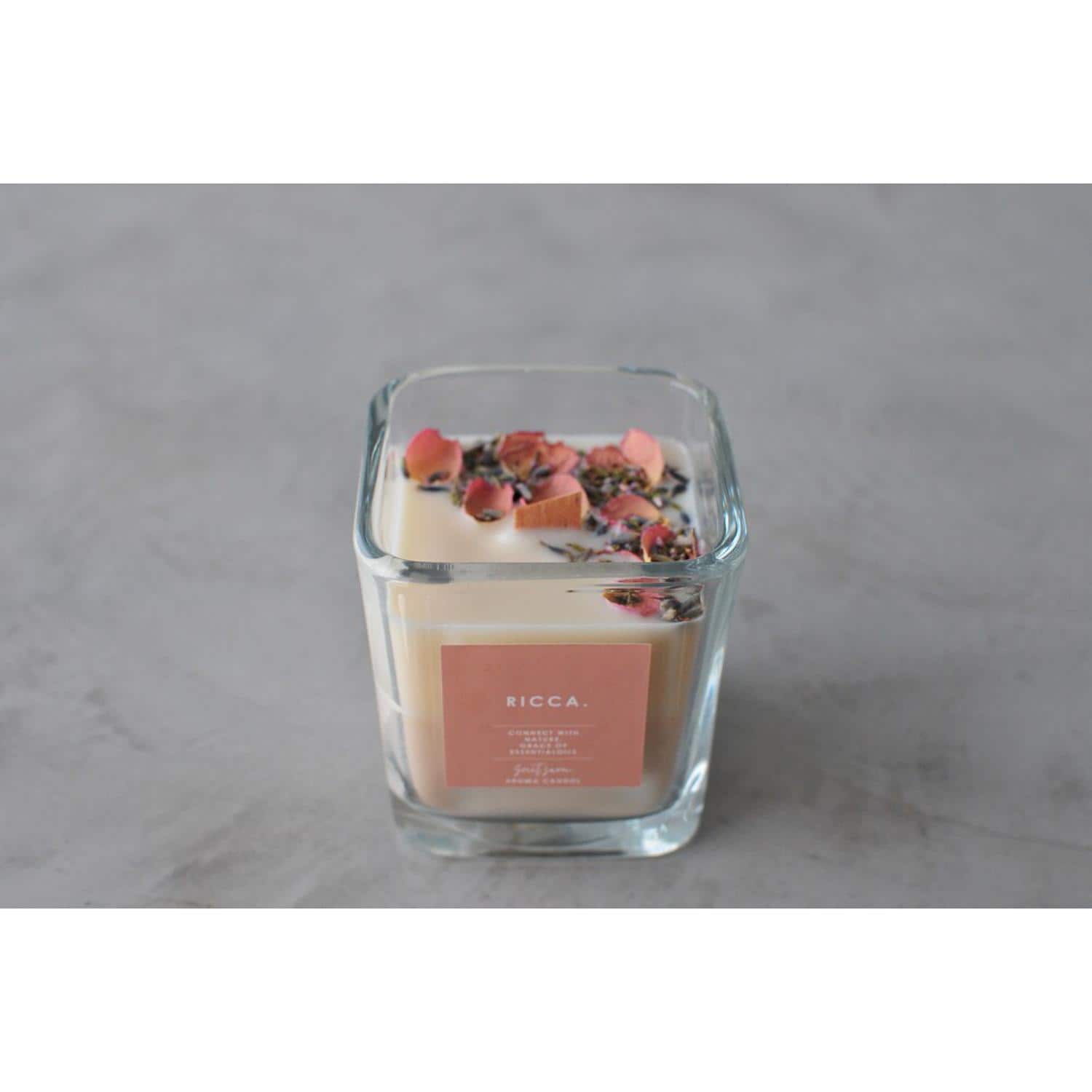 [}C]RICCA Lh/obN[ht@~[iBACKYARD FAMILYj XC[gT{