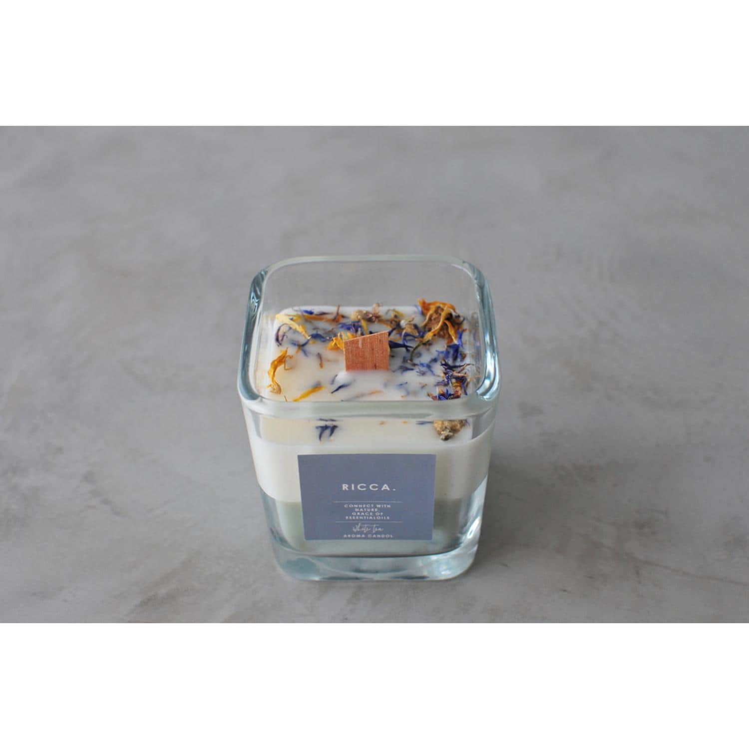 [}C]RICCA Lh/obN[ht@~[iBACKYARD FAMILYj zCgeB[