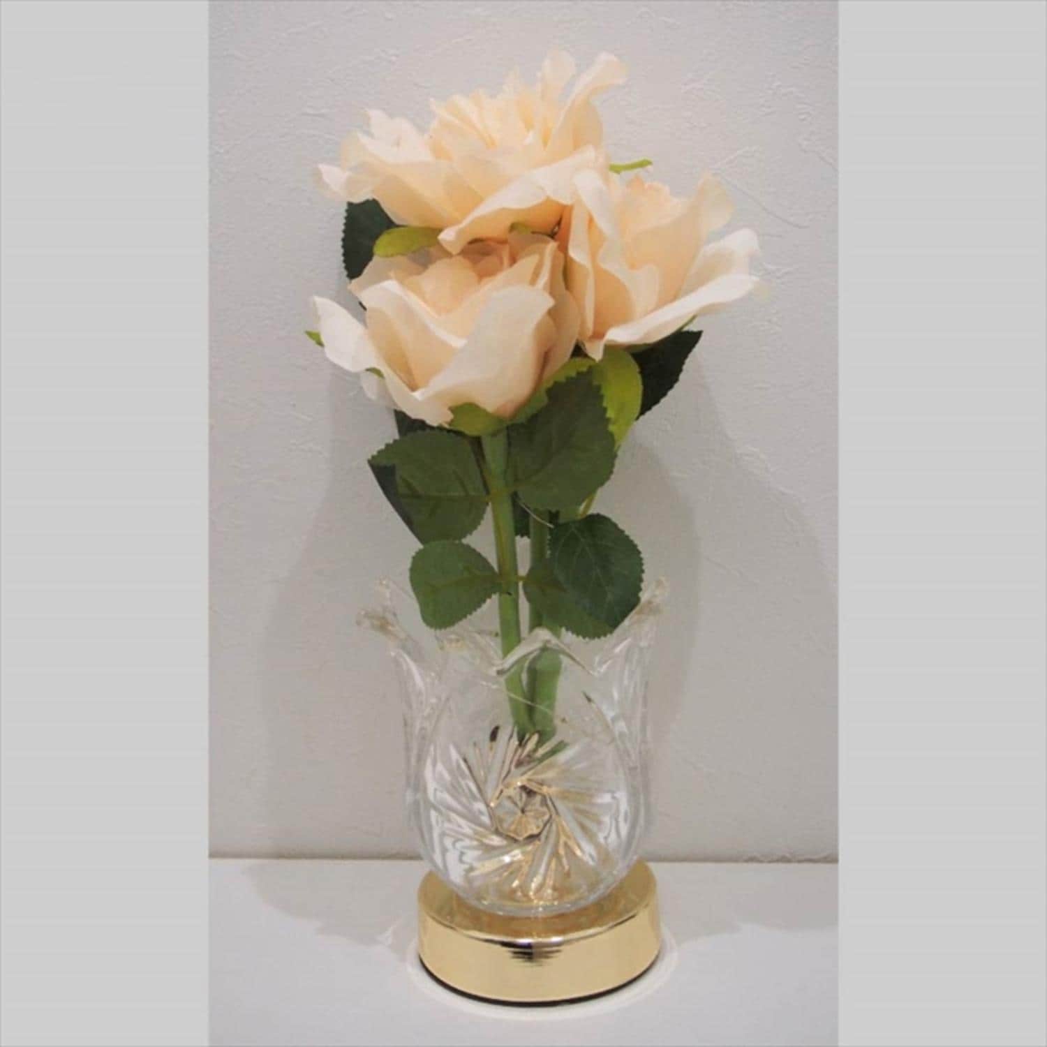 [�}���C]�G���K���g���C�g ROSE/�o�b�N���[�h�t�@�~���[�iBACKYARD FAMILY�j �A�v���R�b�g
